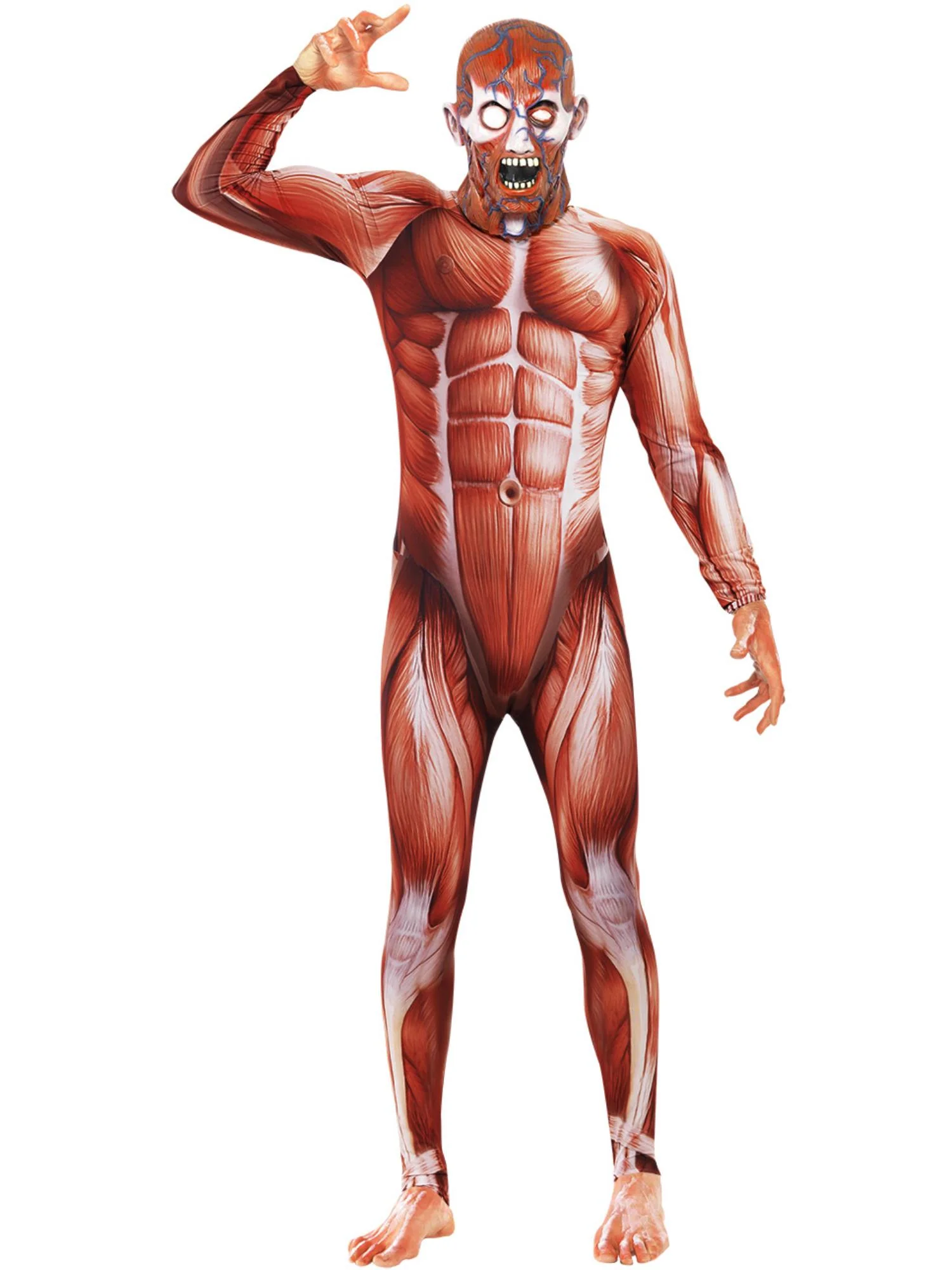 Anatomy Man Costume, Red Wholesale - Image 3