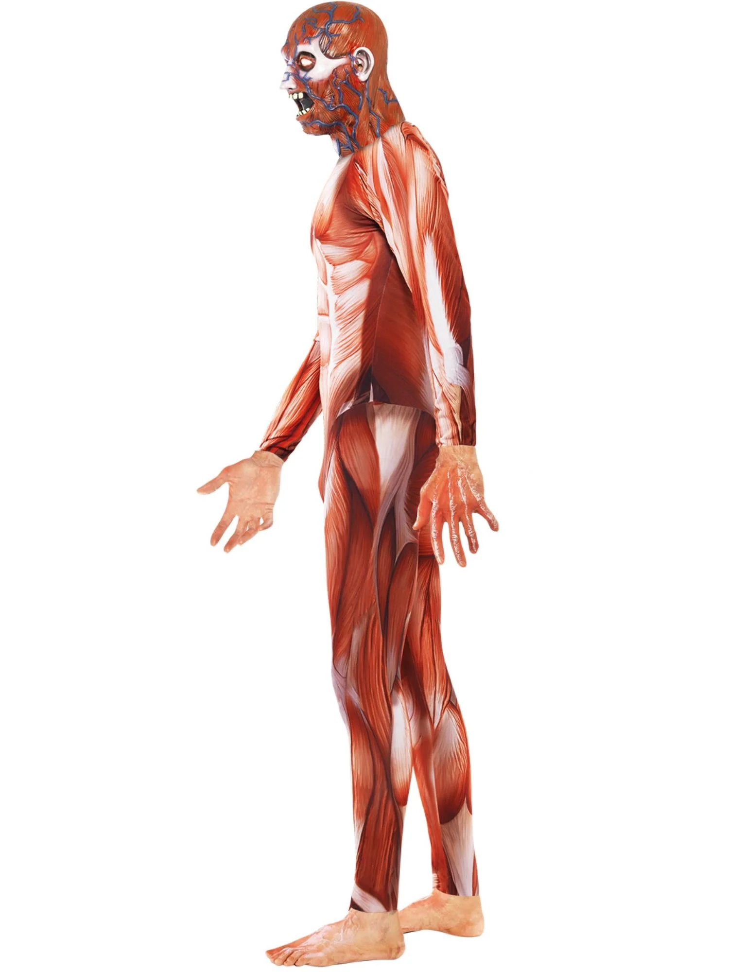 Anatomy Man Costume, Red Wholesale - Image 4