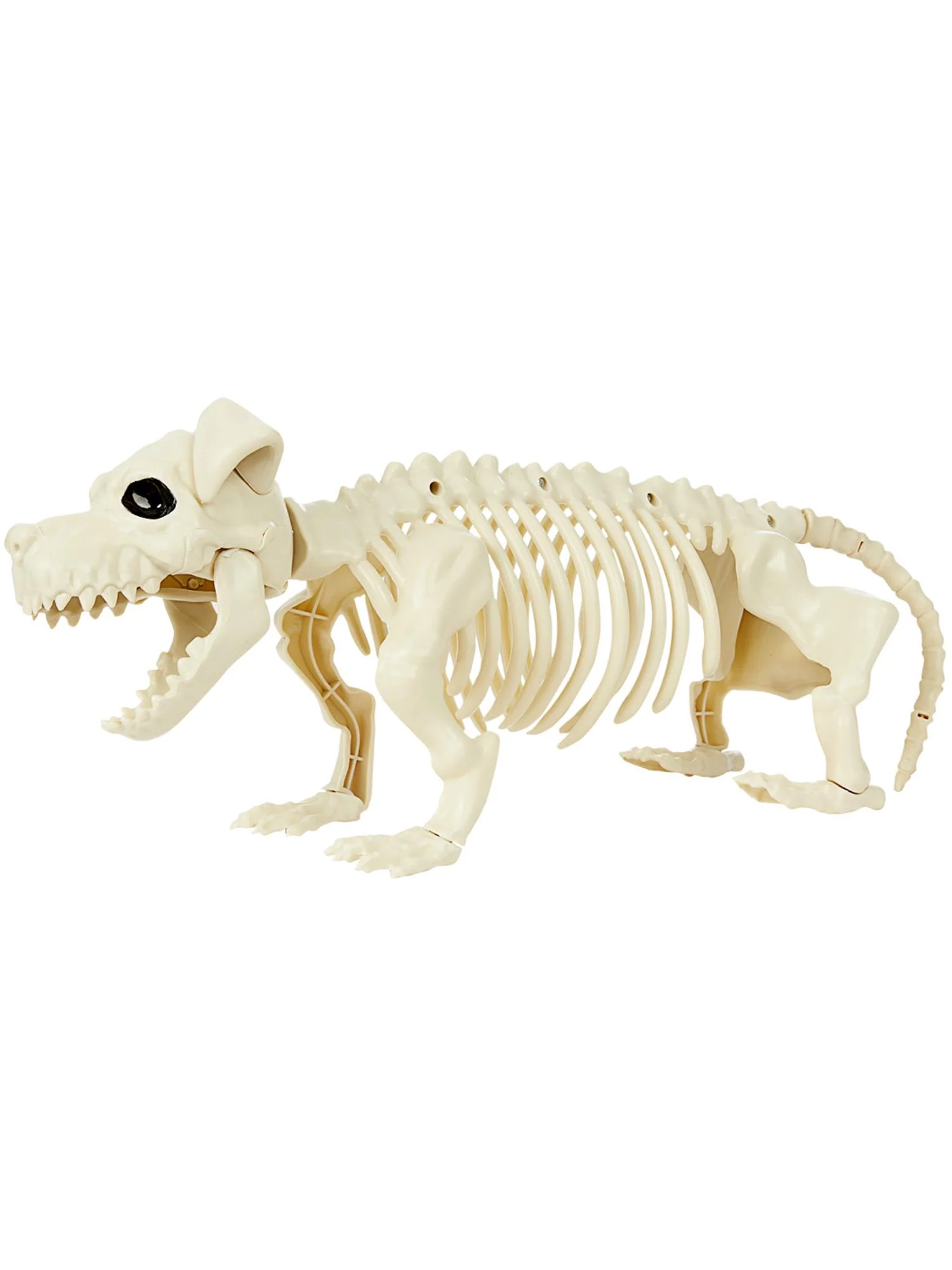 Dog Skeleton Prop, Natural Wholesale
