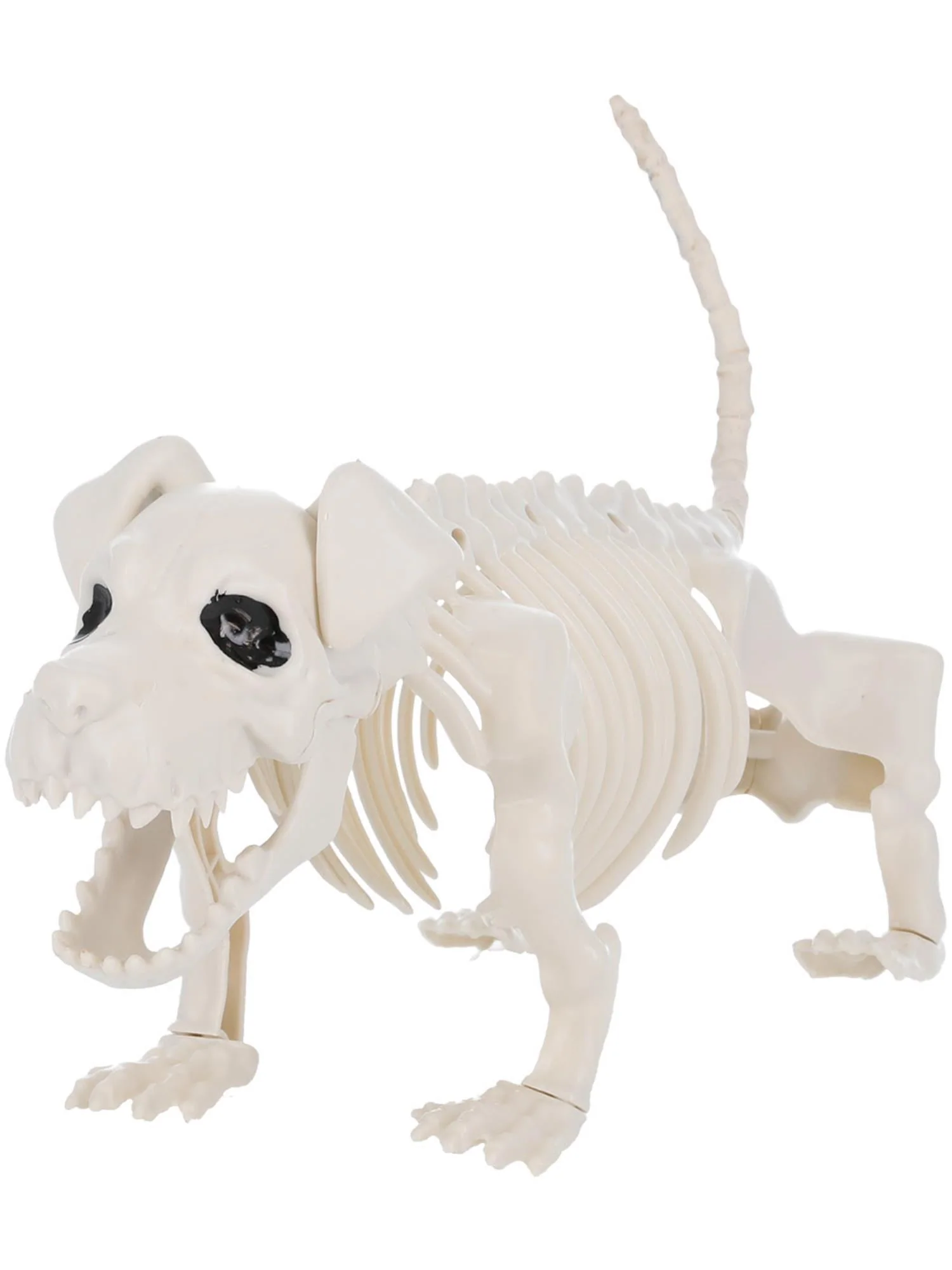 Dog Skeleton Prop, Natural Wholesale - Image 4